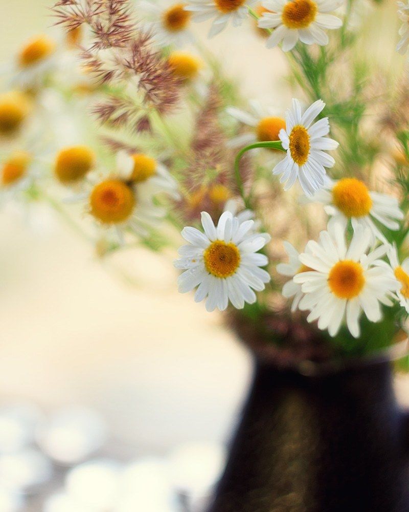 Photograph by Юлия