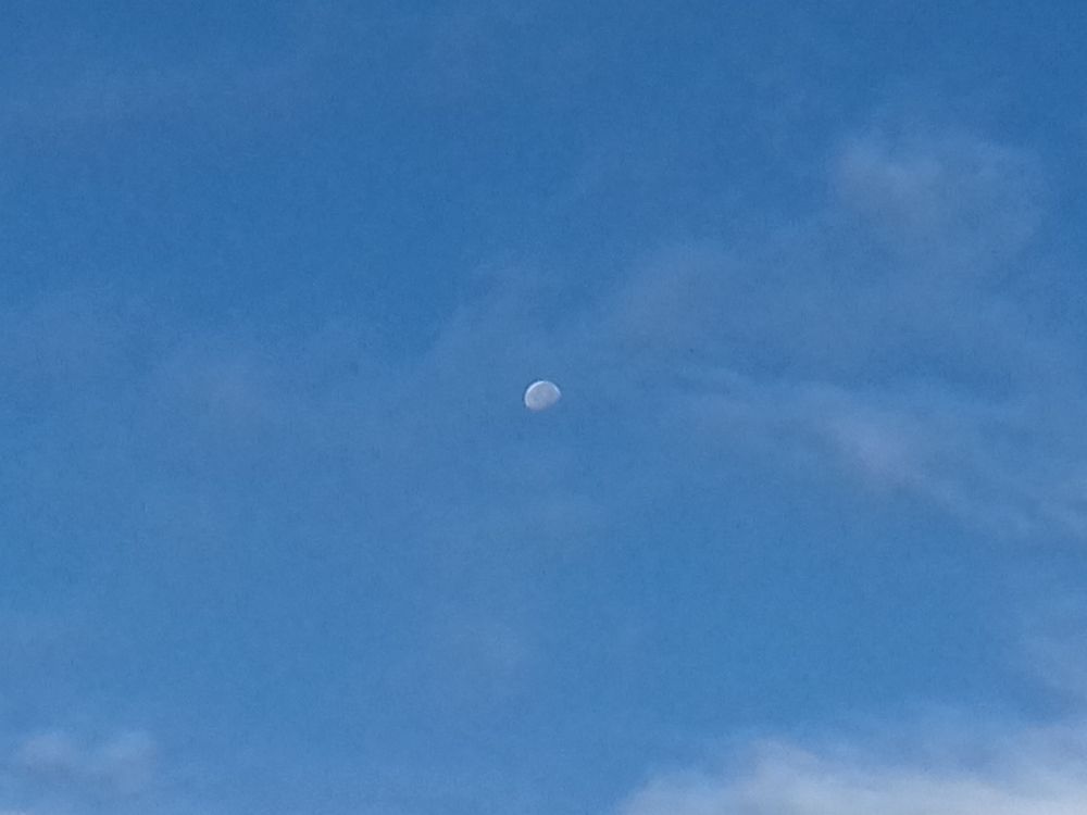 Day Moon