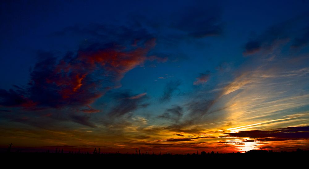 Закат в поле