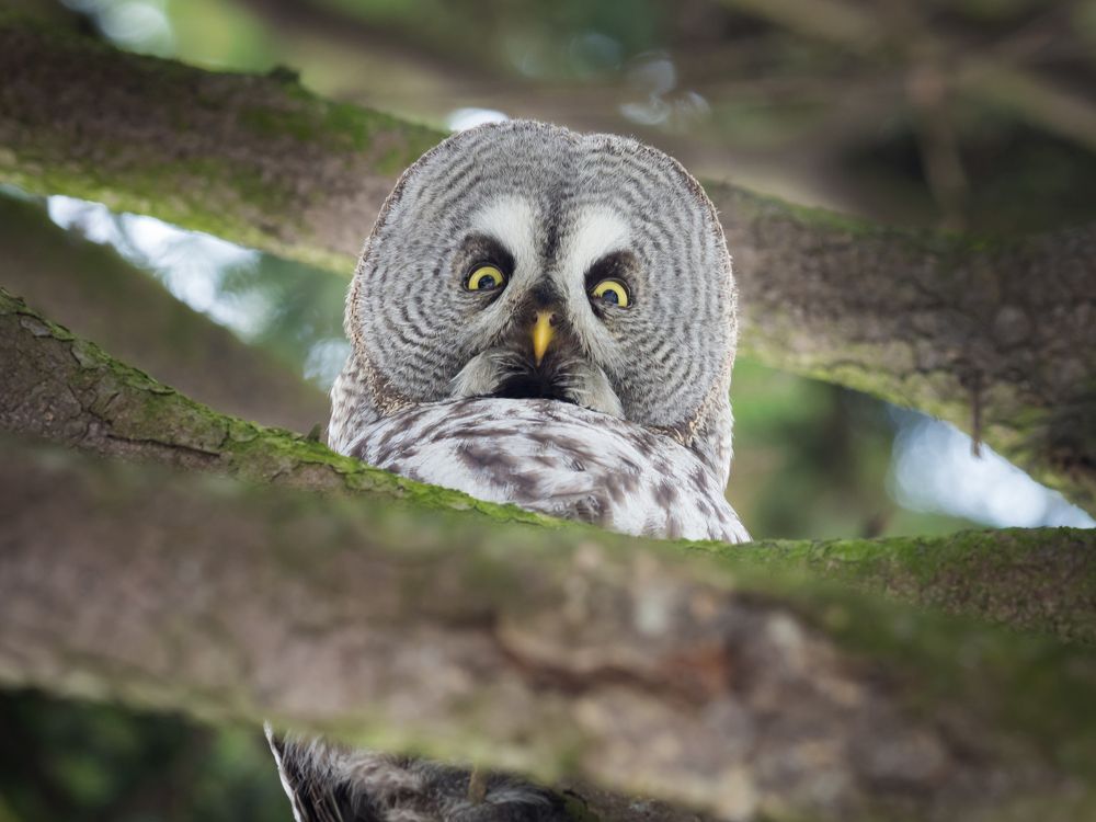 Photograph by Алексей Петров