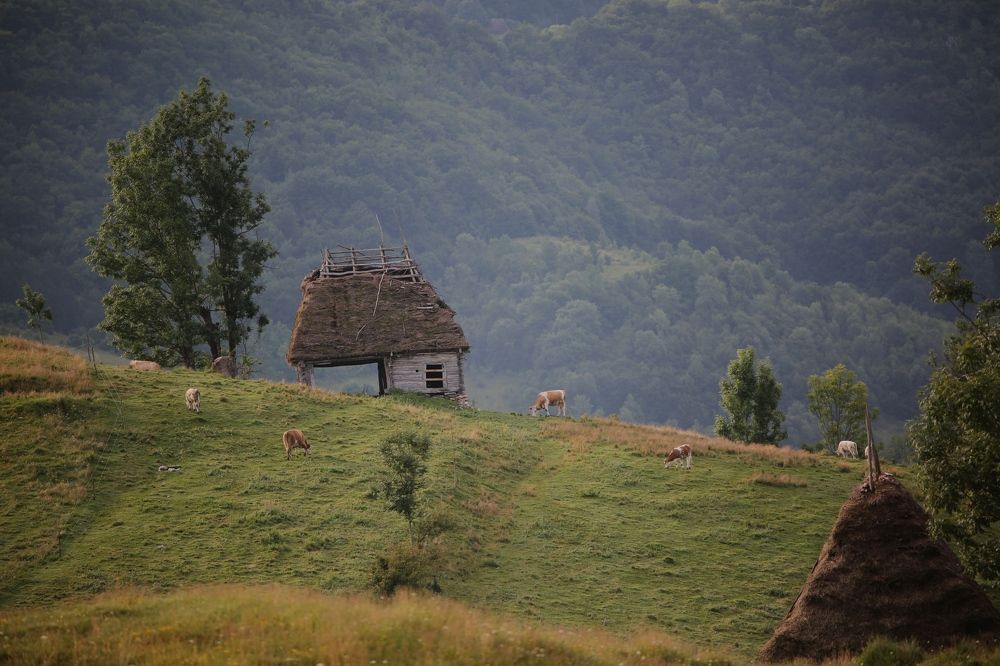 abandoned