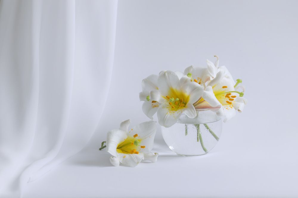 Белые лилии (white lily)
