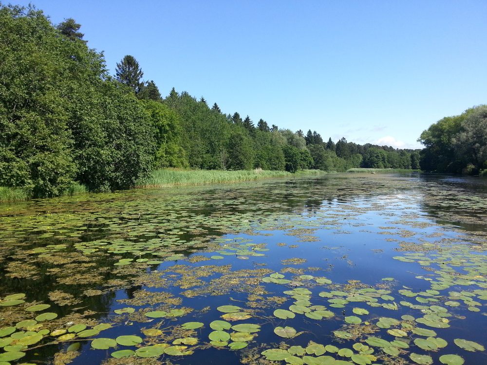 Река Пирита.