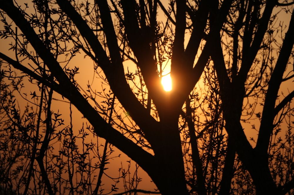 Весенние закаты