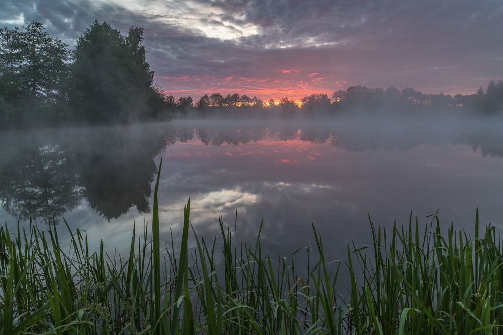 Перед восходом