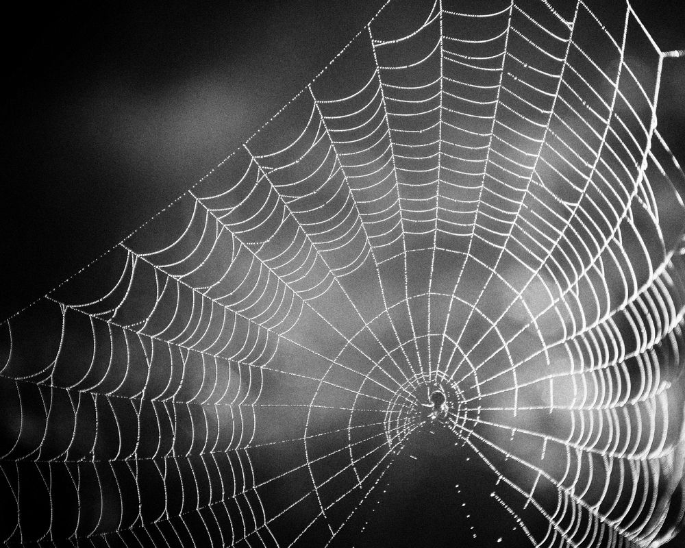 Его одиночество