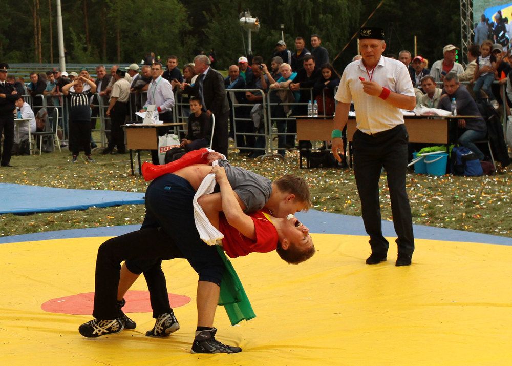 Спортивная борьба