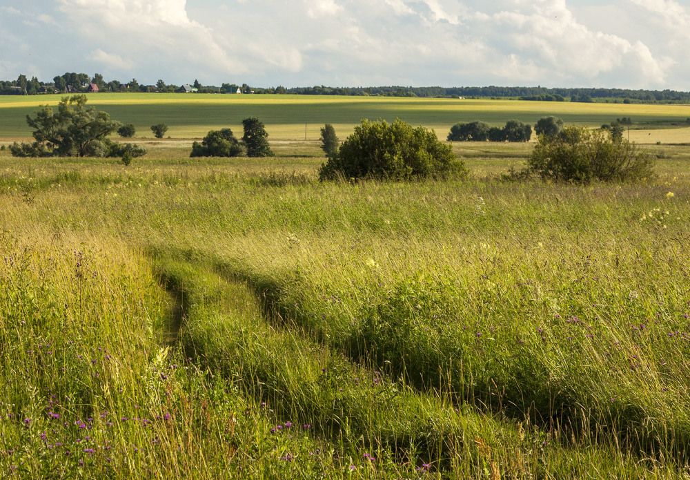 Скоро сенокос