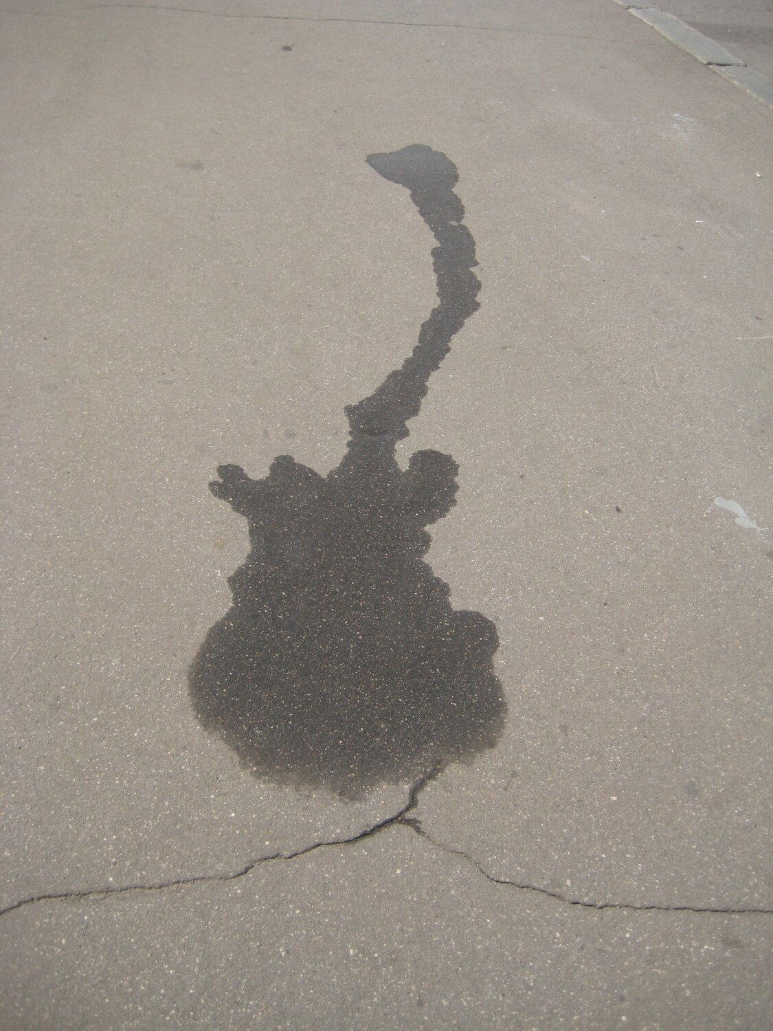 Музыка во всём