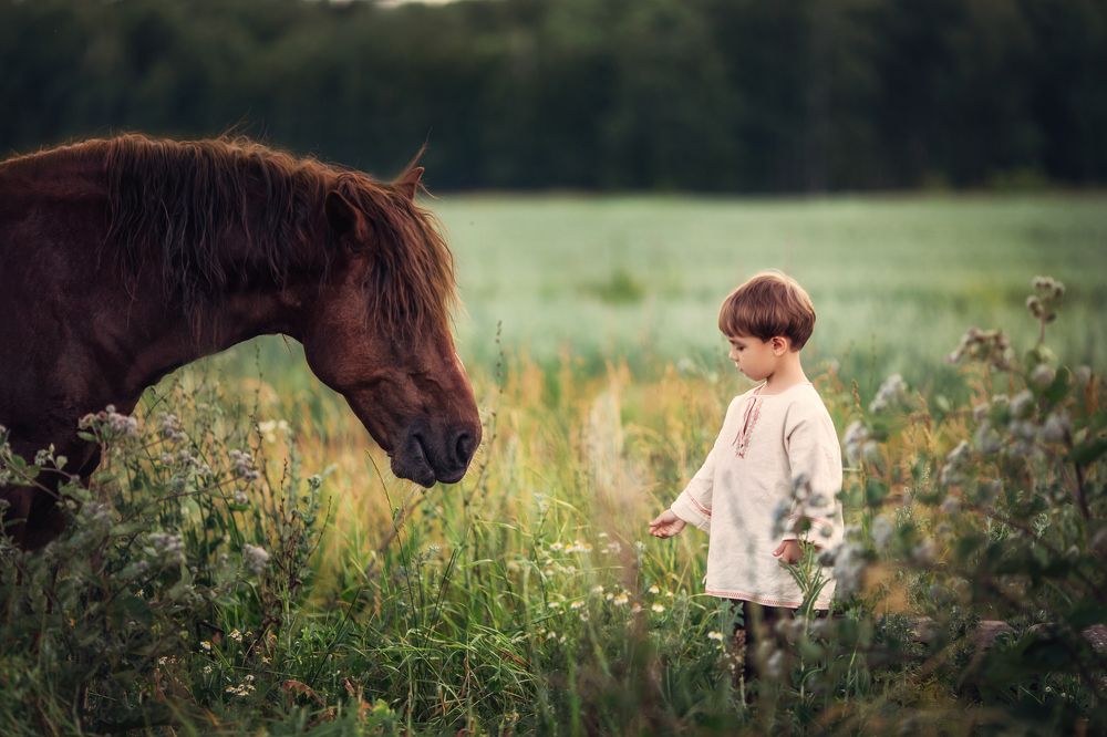Первое знакомство
