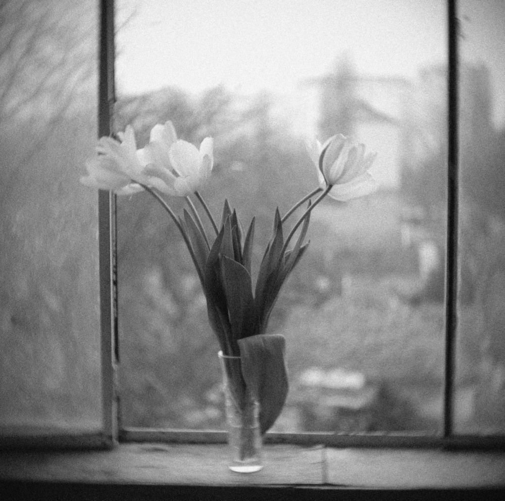 Весеннее настроение.