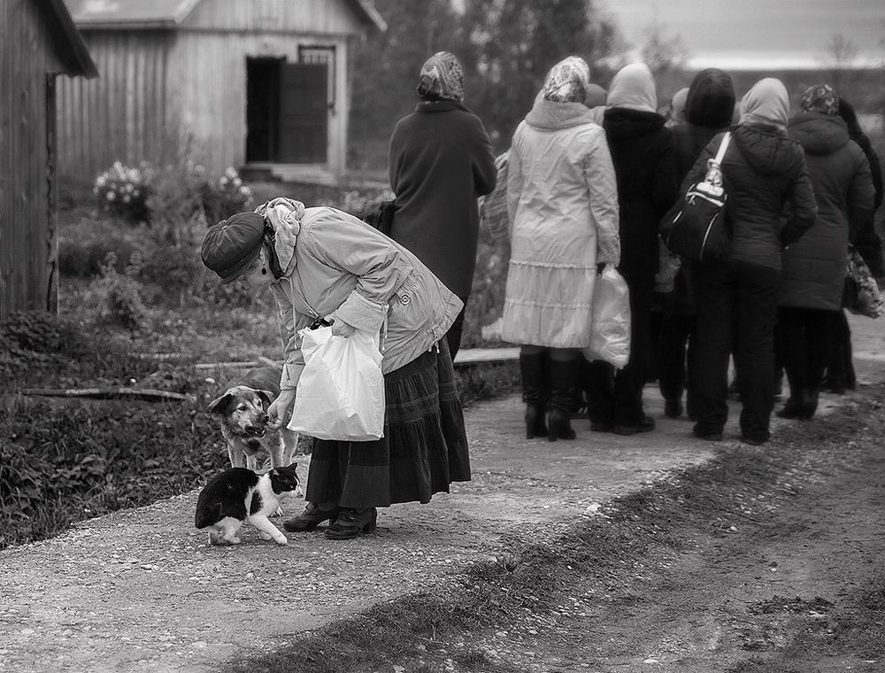 Сострадание или равнодушие