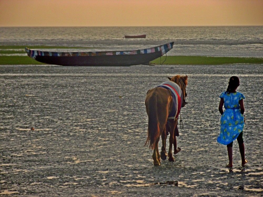 boat horse and a small girl