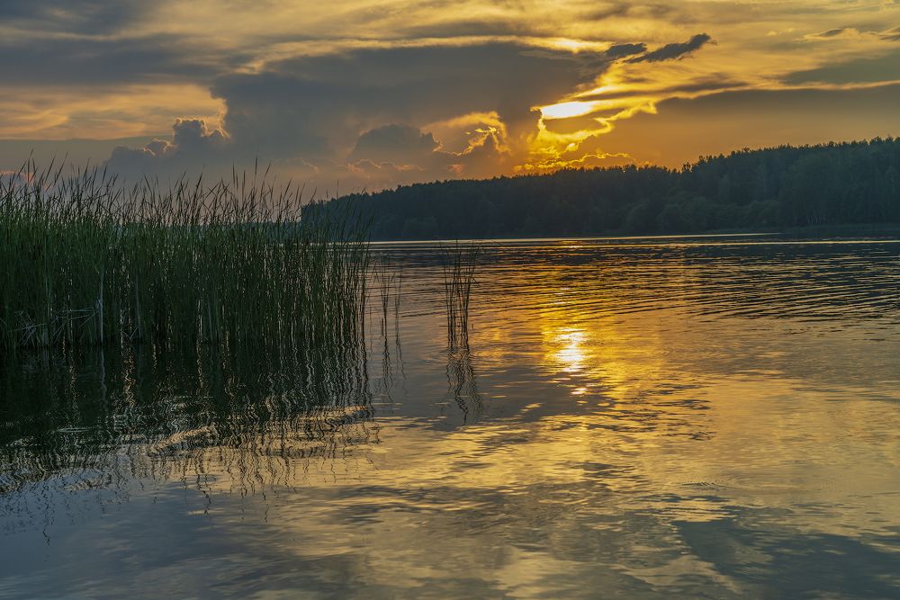 Photograph by Игорь Кляхин