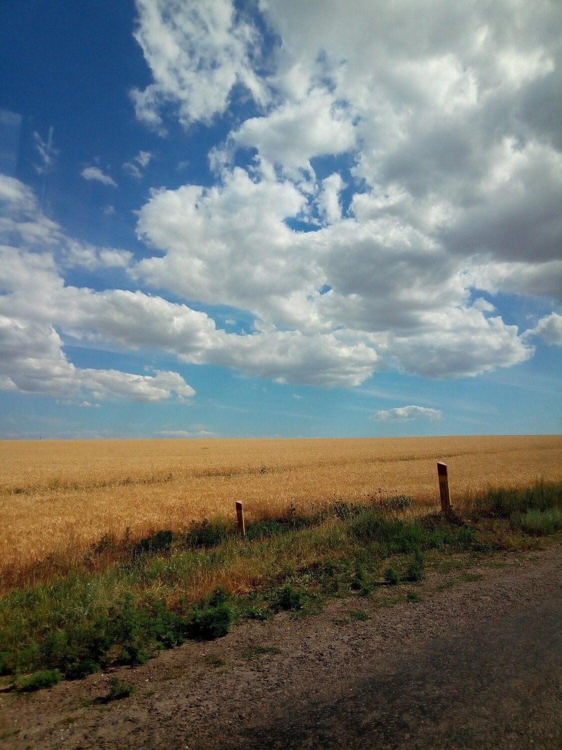 За городом