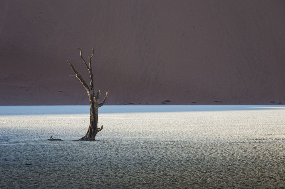 Namibia Deadvlei