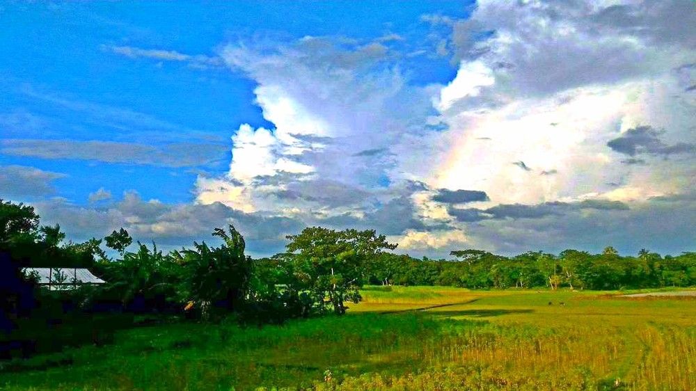 Village