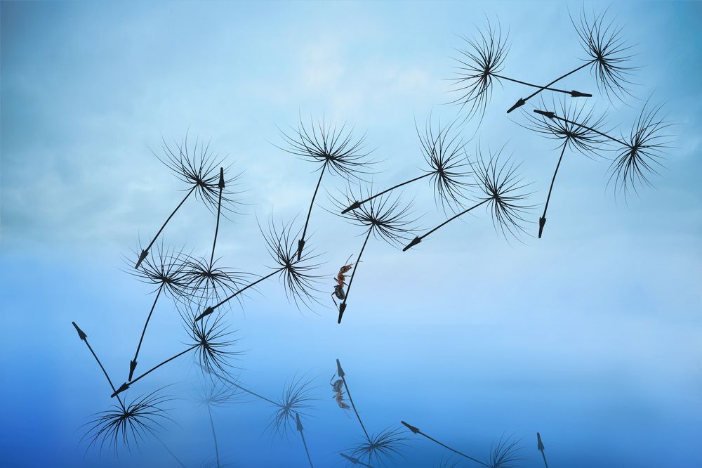 9-ть секунд, полёт нормальный