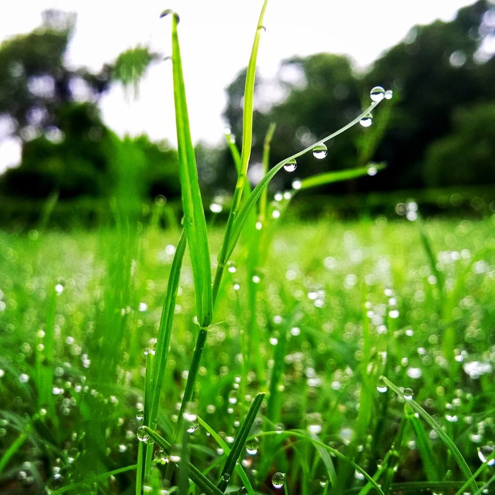 Morning drop!!