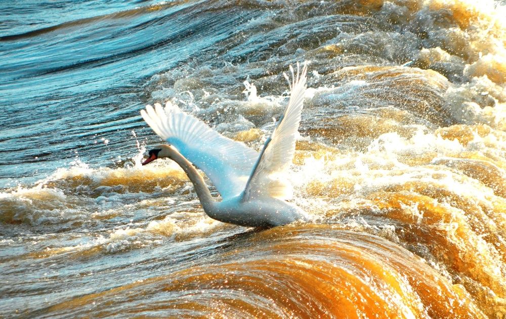 Разбушевалось...