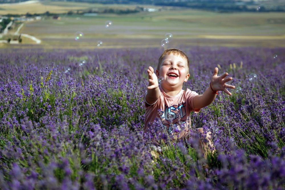 Прогулка по лавандовому полю