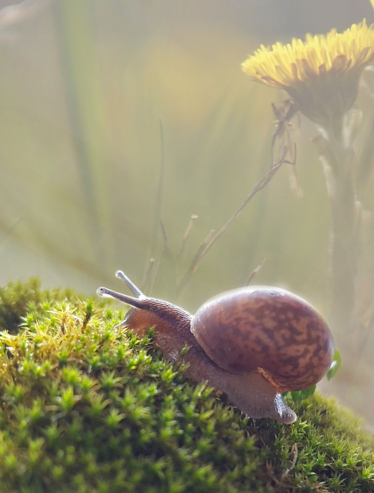 На рассвете...