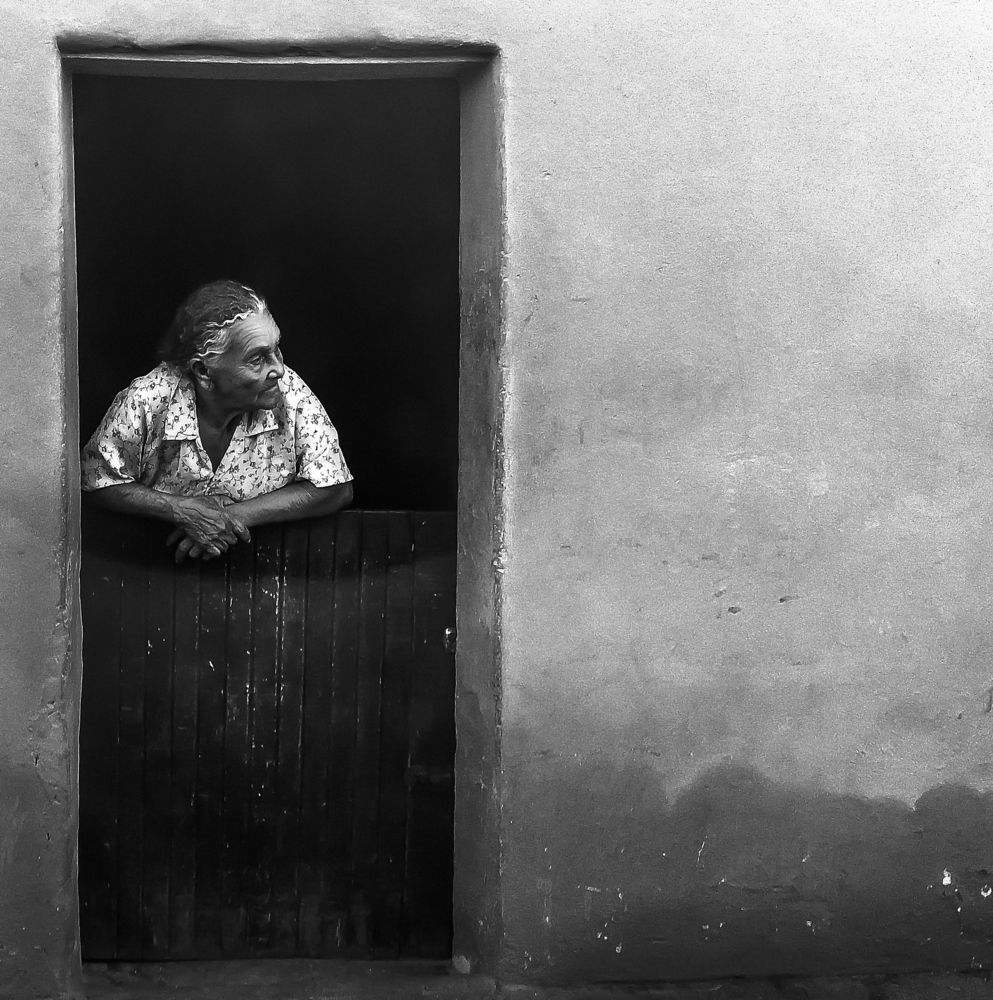 The Lady Curiosities