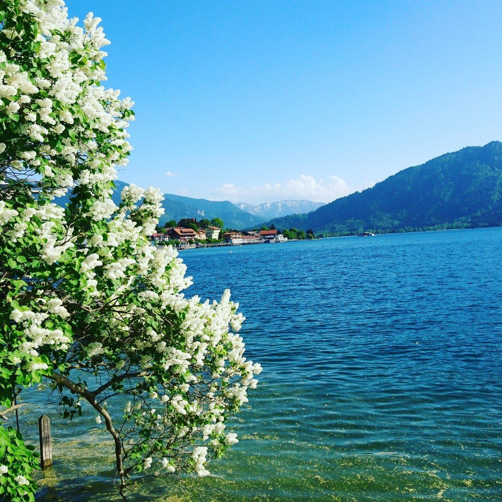 Tegernsee