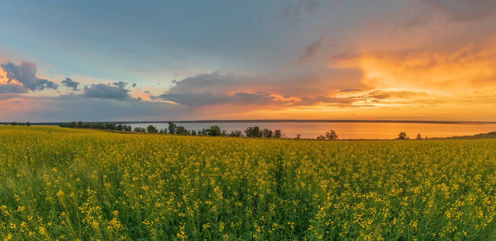 Photograph by Сергей Приходько