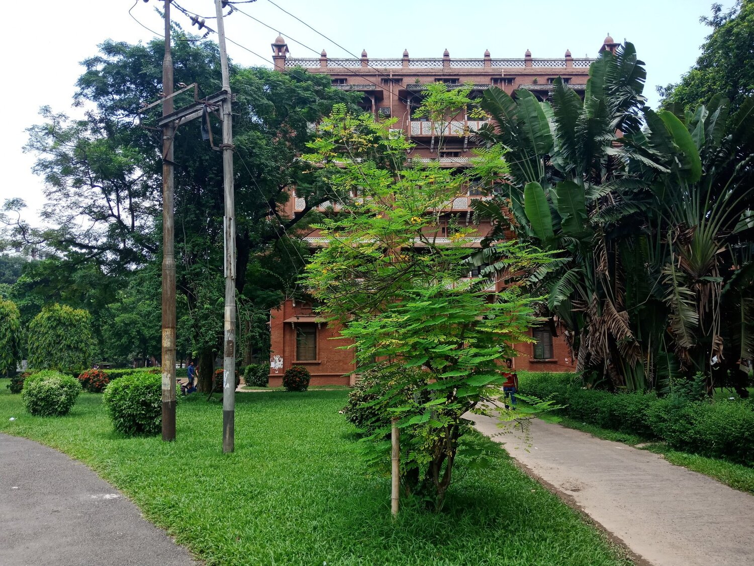The beautiful Dhaka University campus