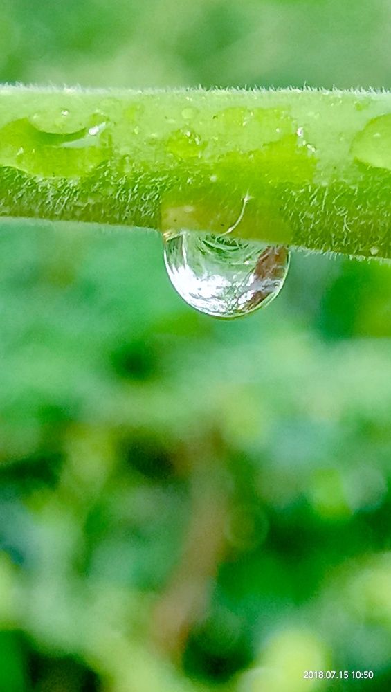 Drop