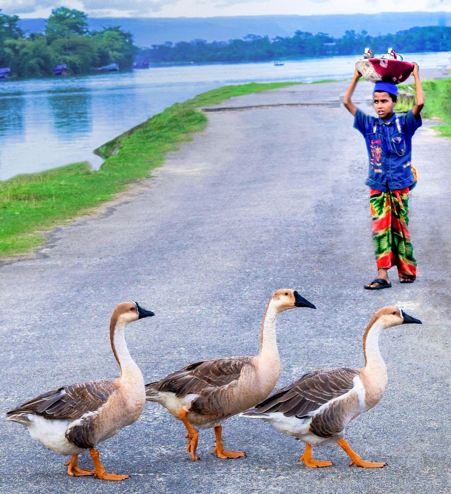 The roads of rural Bengal