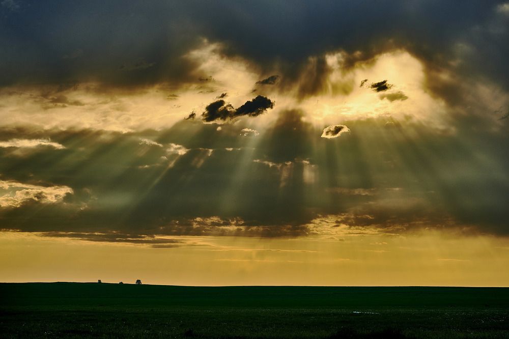 Photograph by Владимир Малевич