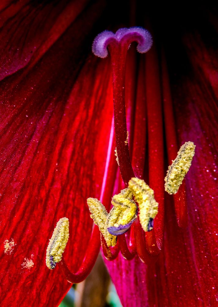 Little close-up