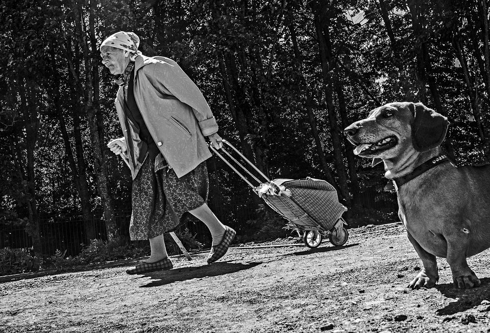 Одной дорогой