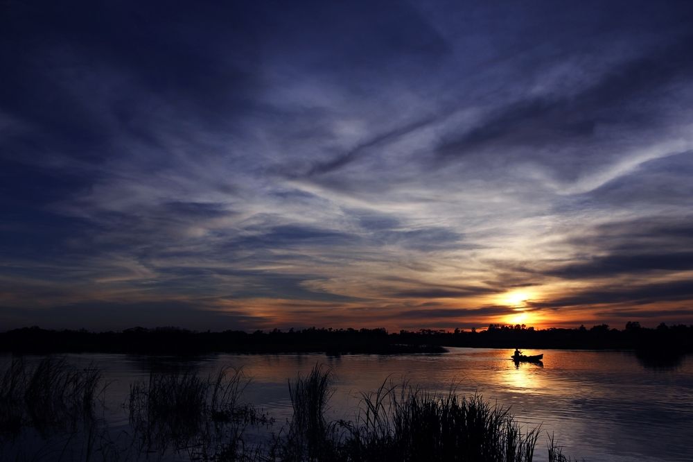 Beauty of the nature