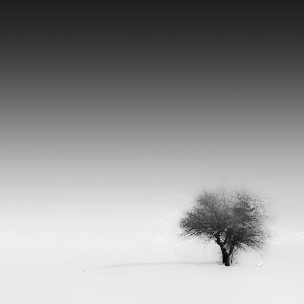 The Ensemble of Silence