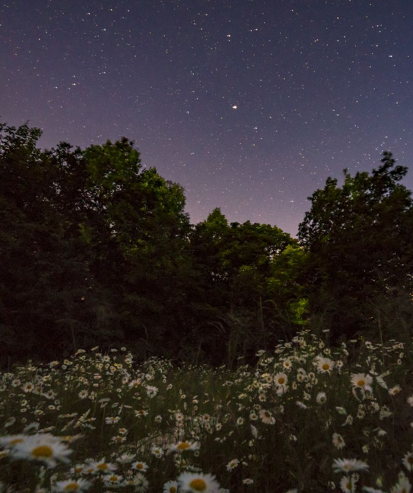 Photograph by Игорь Кляхин