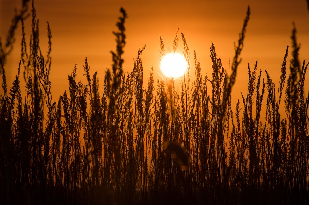 рассвет ранней весной