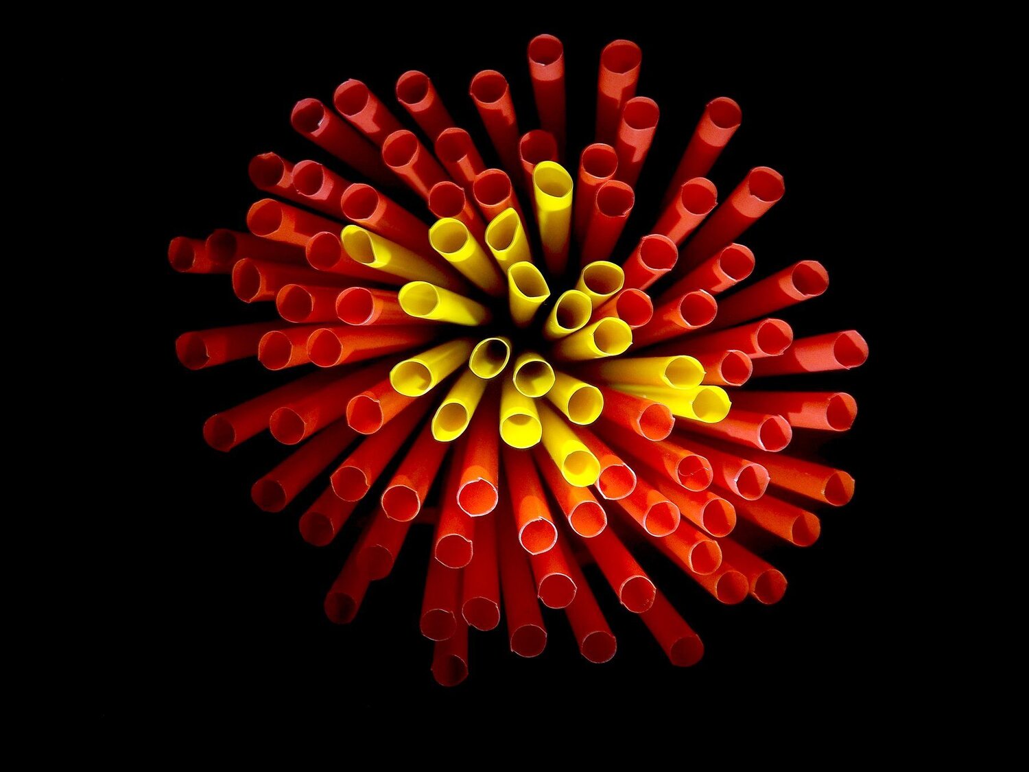 Straws Bloom