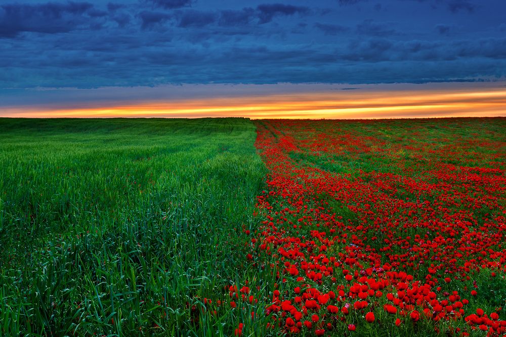 Флаг ПРИРОДЫ.