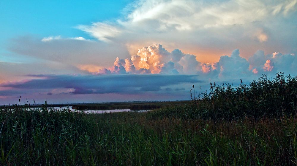 Утренняя гроза