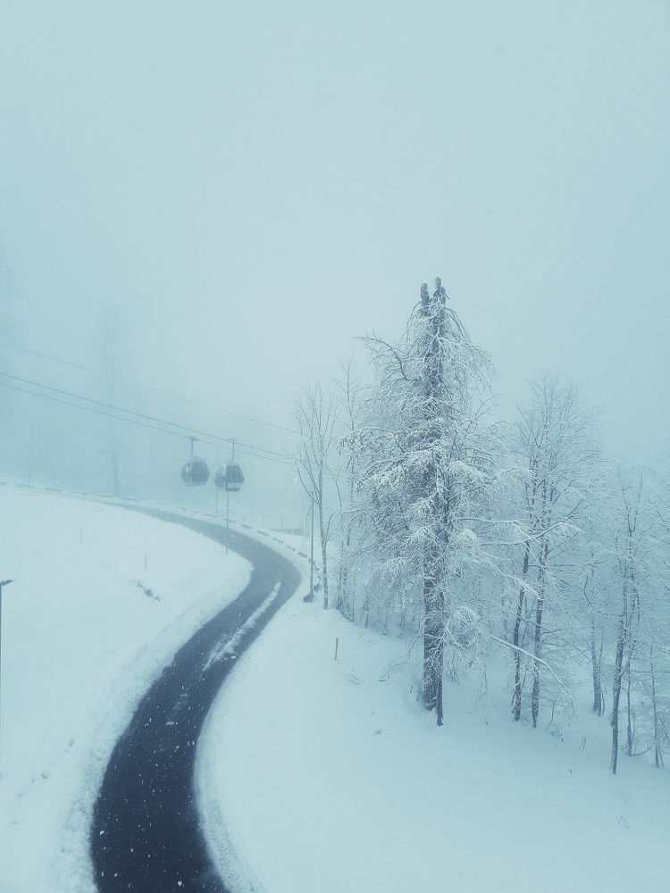 Туман в горах