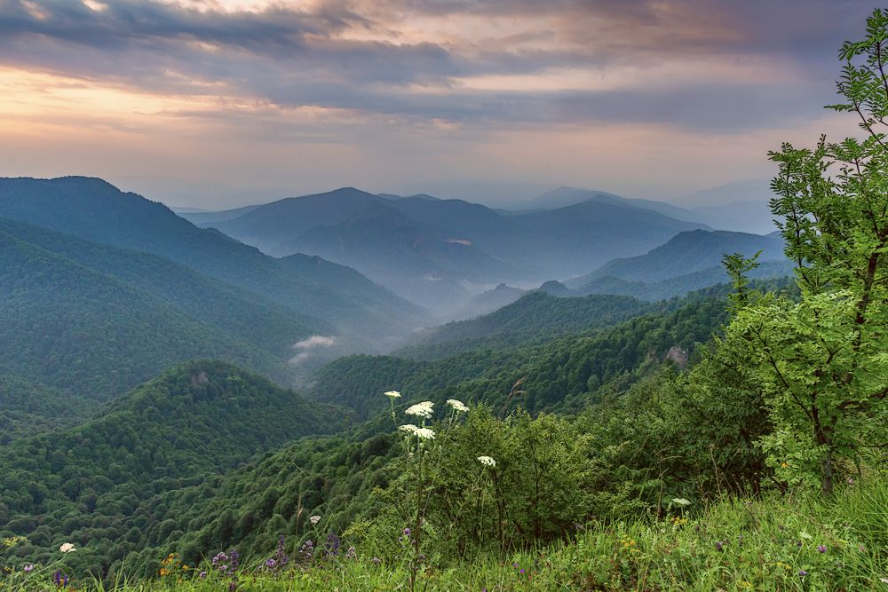 Предгорье Кавказа