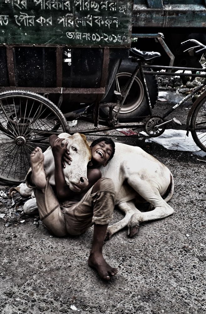 love for animal