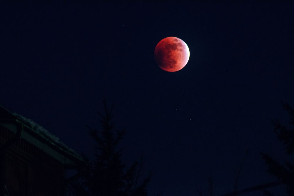 Blood Moon