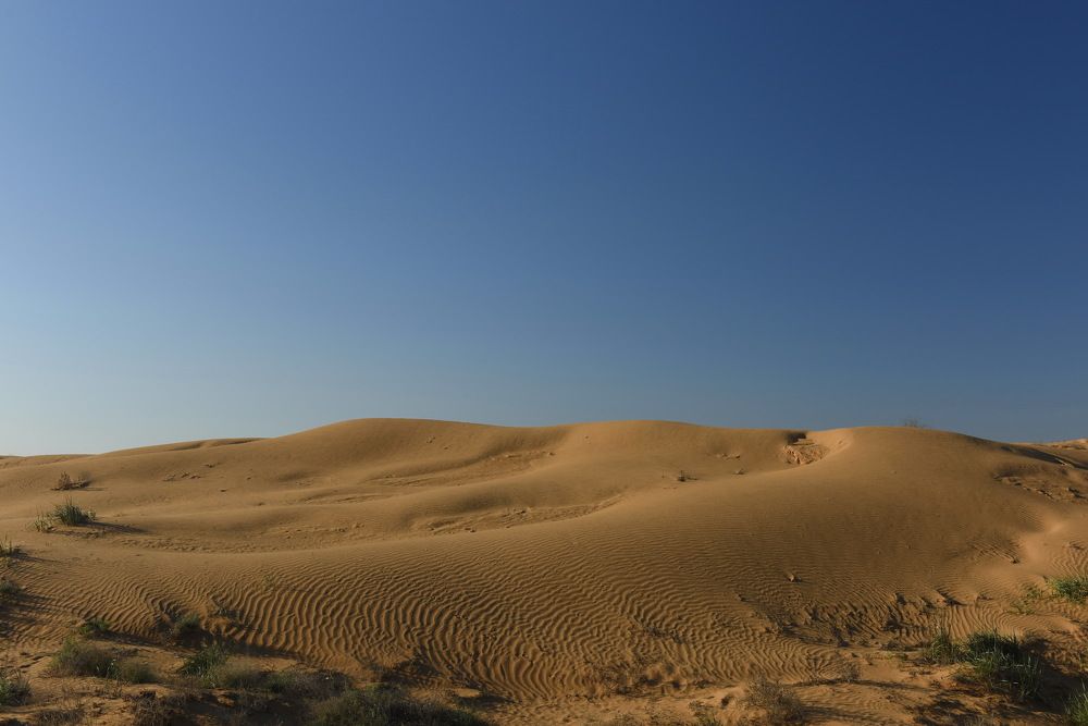 Майские пески