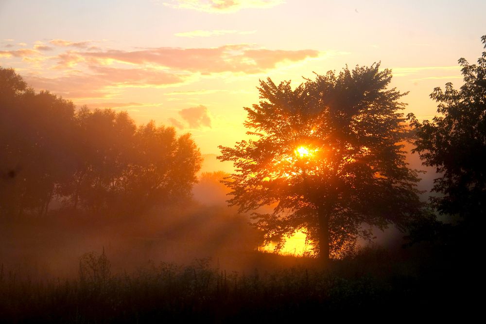 на закате дня