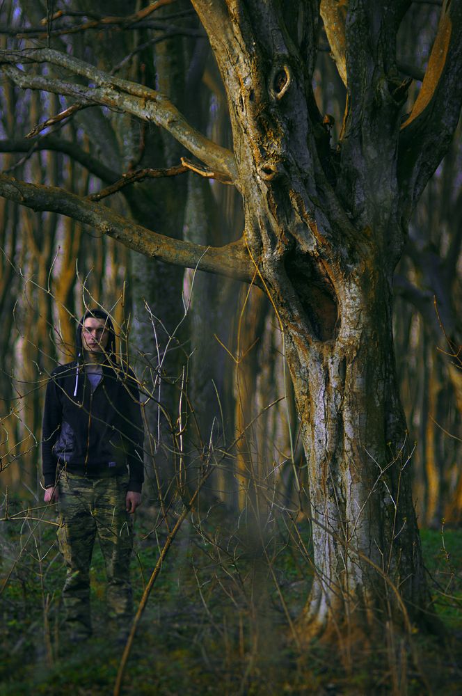 People in the forest