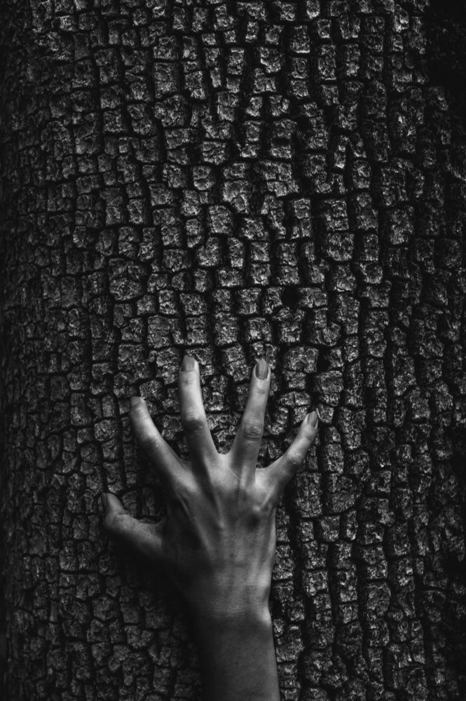 Photograph by Василий Гальченко